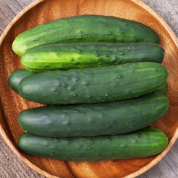 Cucumber