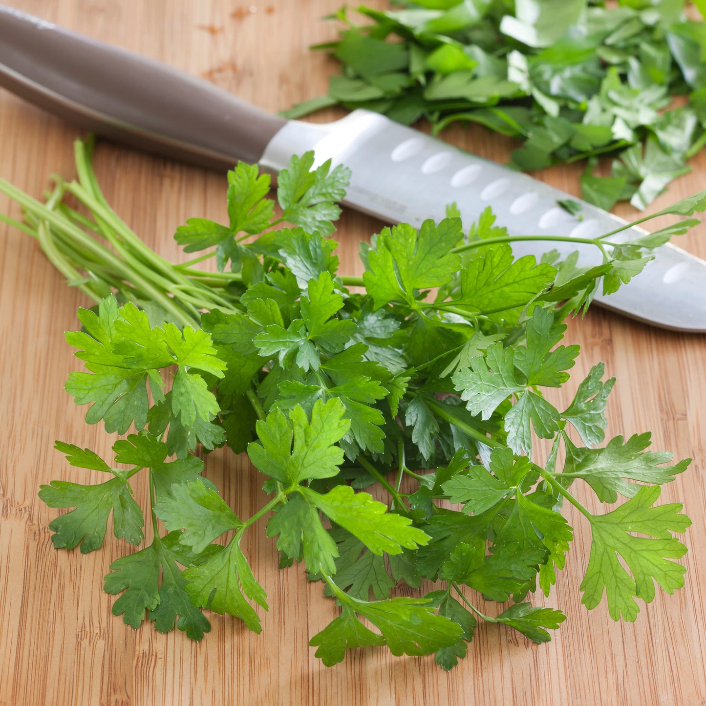 Italian Parsley (10-15 Branches)