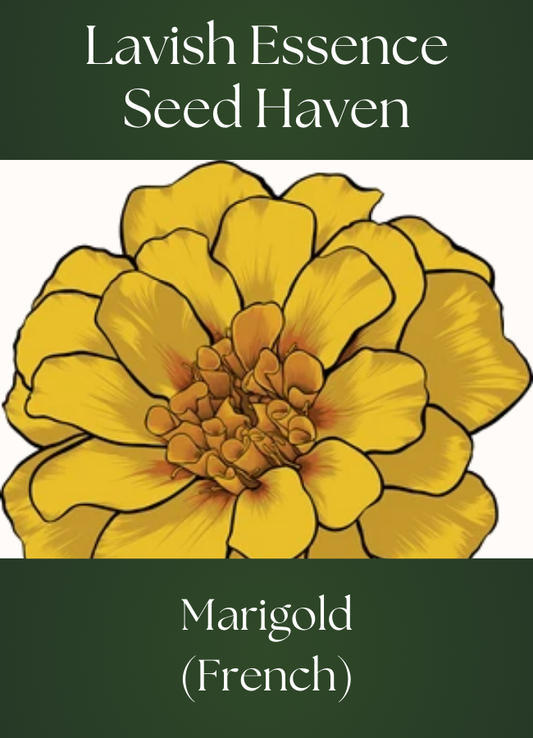 French Marigold Seeds