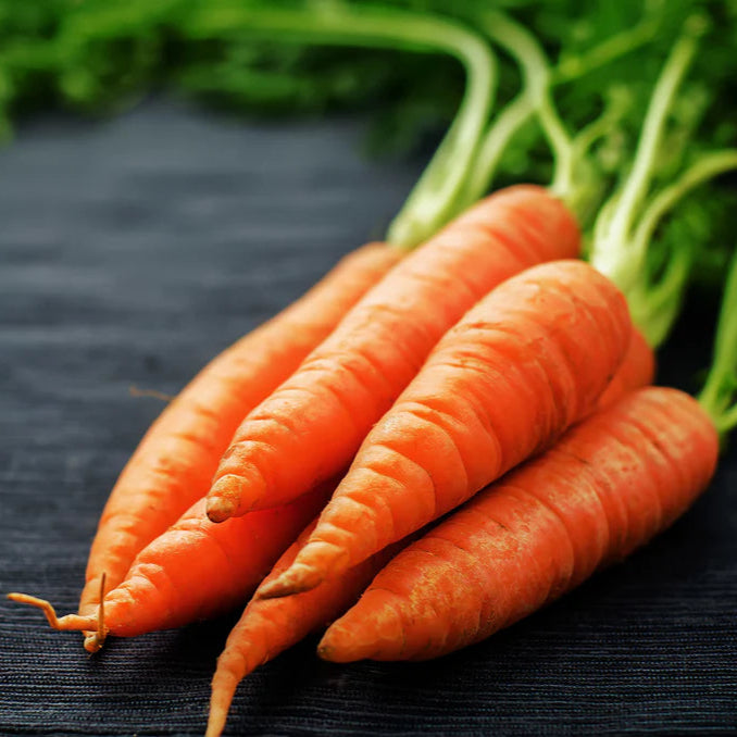 Carrot Bunch (6-8 Carrots)