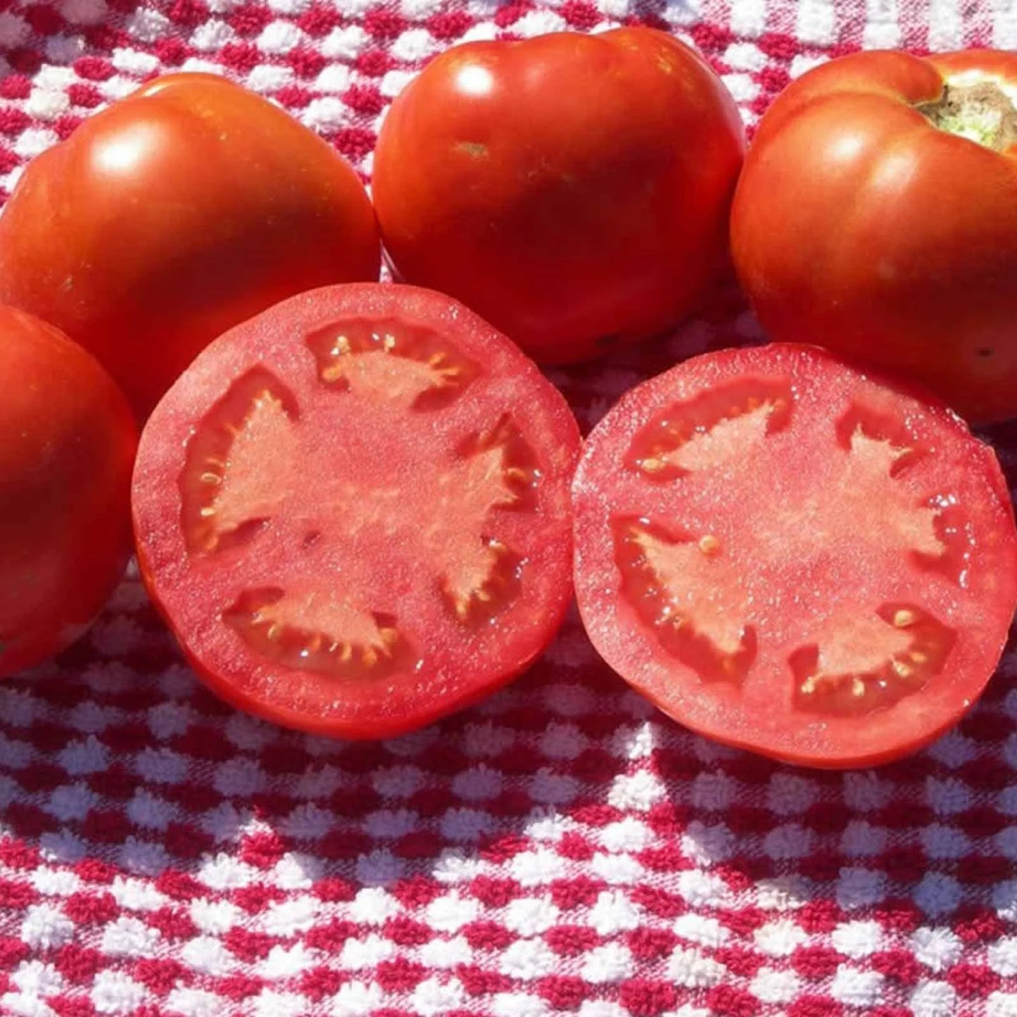 Beefsteak Tomato