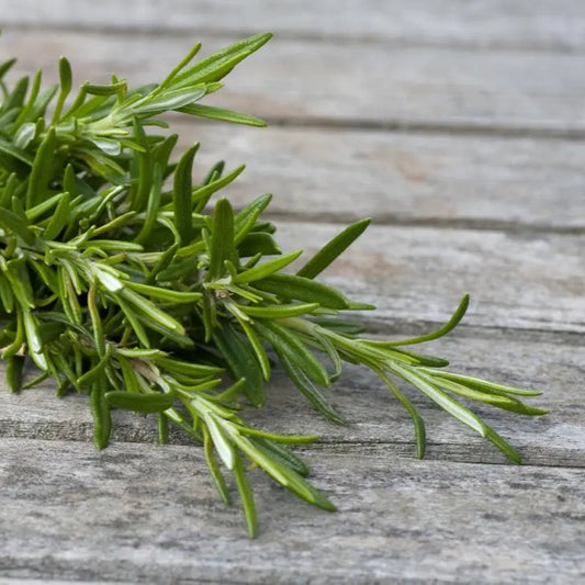 Rosemary (4-6 Branches)